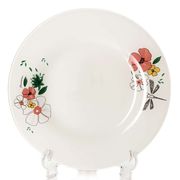 Тарелка упрочненная 260 мм "Нейчер" - 10328/1078201