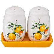 НАБОР ДЛЯ СПЕЦИЙ 2 ПР."ИТАЛЬЯНСКИЕ ЛИМОНЫ" 11*7*8 СМ. (КОР=72 ШТ.) 230-267