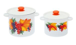 Набор 20 белый "Смородина" СТАЛЬЭМАЛЬ - N20B23