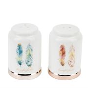 Набор для специй солонка/перечница "Перья" 10,5*5,5*8см 1750176