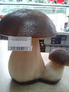 Гриб №5(пр-ль Россия)