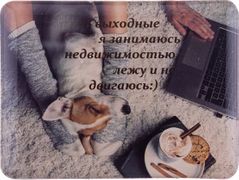 Магнит в выходные я занимаюсь недвижимостью,лежу и не двигаюсь навесная с пробковой основой диамет