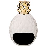 Подставка под губку ананас 10*10*16 см (кор=24шт.)