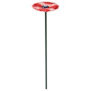 Гербера красная диаметр=9см высота=50см без упаковки (кор=3шт.)