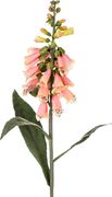 Цветок искусственный дигиталис длина=70 см. (кор=1шт.)