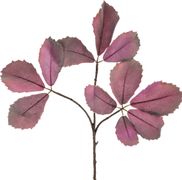 Цветок искусственный ветка орешника длина=85 см. (кор=1шт.)