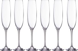 Набор бокалов для шампанского из 6 шт. esta/fulica 250 мл высота=28 см (кор=8набор.)