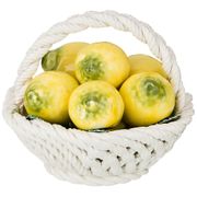 Декоративное блюдо с лимонами малое диаметр=13 см. высота=12 см.