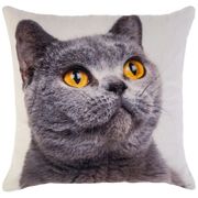 Наволочка 35*35 см, 100% п/э, ткань, печать (кор=60шт.)