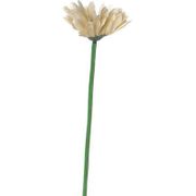 ЦВЕТОК ИСКУССТВЕННЫЙ "АСТРА" ДЛИНА=53 СМ.(КОР=480ШТ.) 23-248