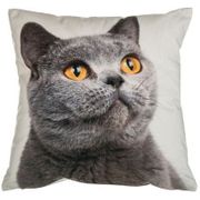 ДЕКОРАТИВНАЯ ПОДУШКА 35Х35 СМ, ПОЛИЭСТЕР 100 703-694-28