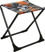 Стул складной походный с камнями и кленовыми листьями (до 90кг) ПС+/4