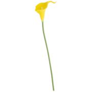 цветок искусственный калла высота=35см, желтый (мал=80шт./кор=480шт.)