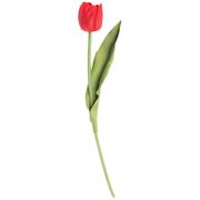 цветок искусственный тюльпан высота=35см, красный (мал=36шт./кор=216шт.)