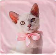 Декоративная наволочка 35*35 см, 100% п/э, ткань, печать 