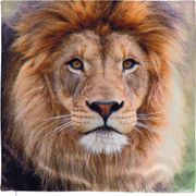 Декоративная наволочка 45*45 см, 100% п/э, ткань, печать (кор=60шт.)