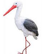 Аист большой (пр-ль Россия)