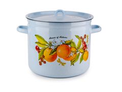 Кастрюля эмалированная 9л "Фруктовая фантазия" Лысьва - С-1621/4Рб